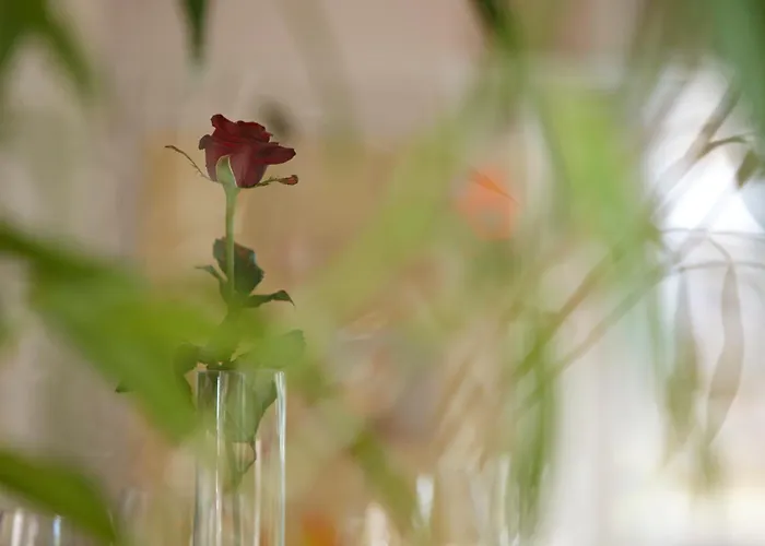 Hotel Restaurant Rössli 3*