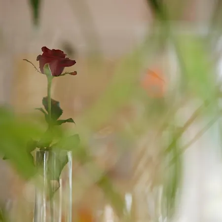 Hotell Restaurant Rössli 3*